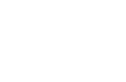 TE Logo 
